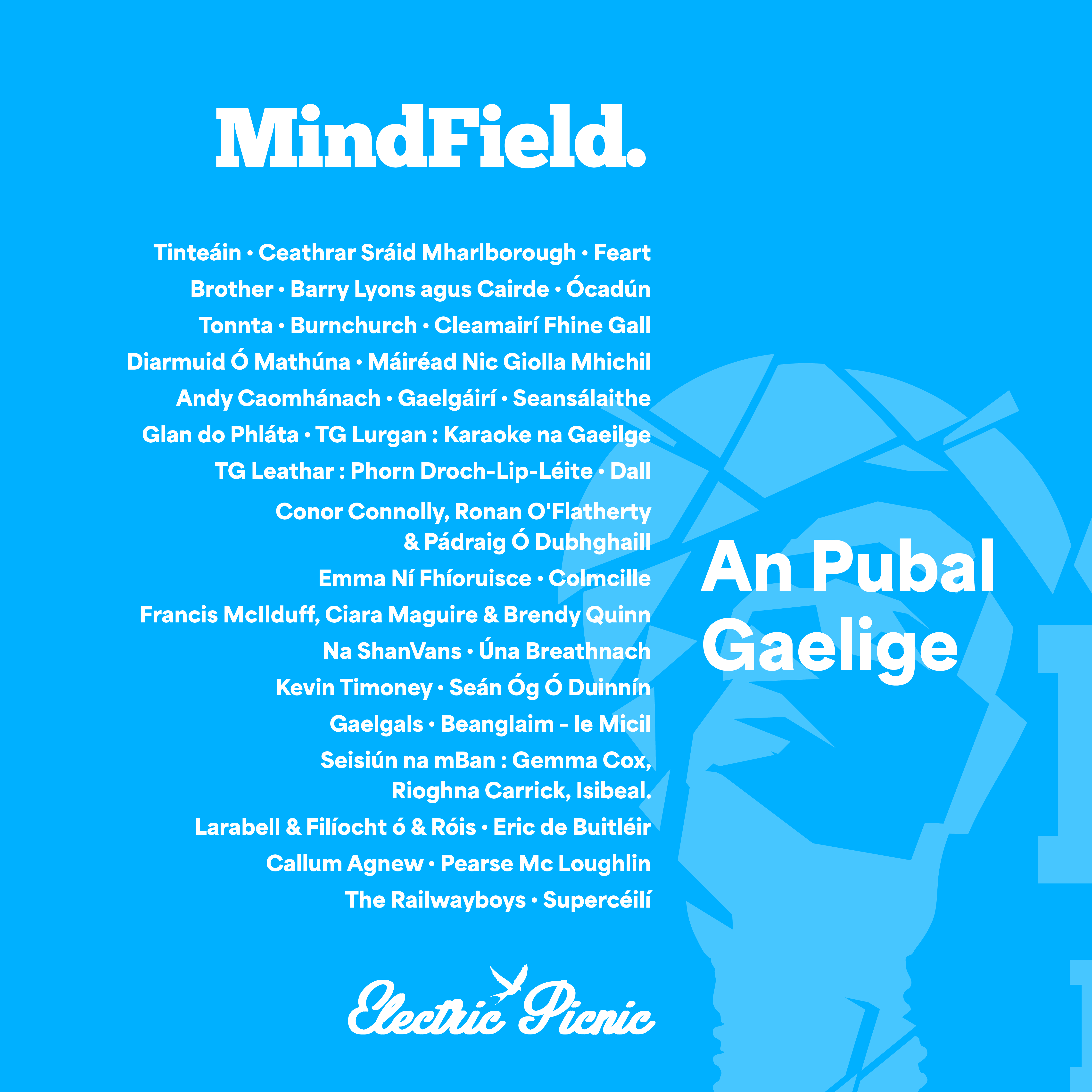 An Puball Gaeilge 2024